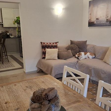 Casa Verdina, Nel Cuore Di アルゲーロ エクステリア 写真