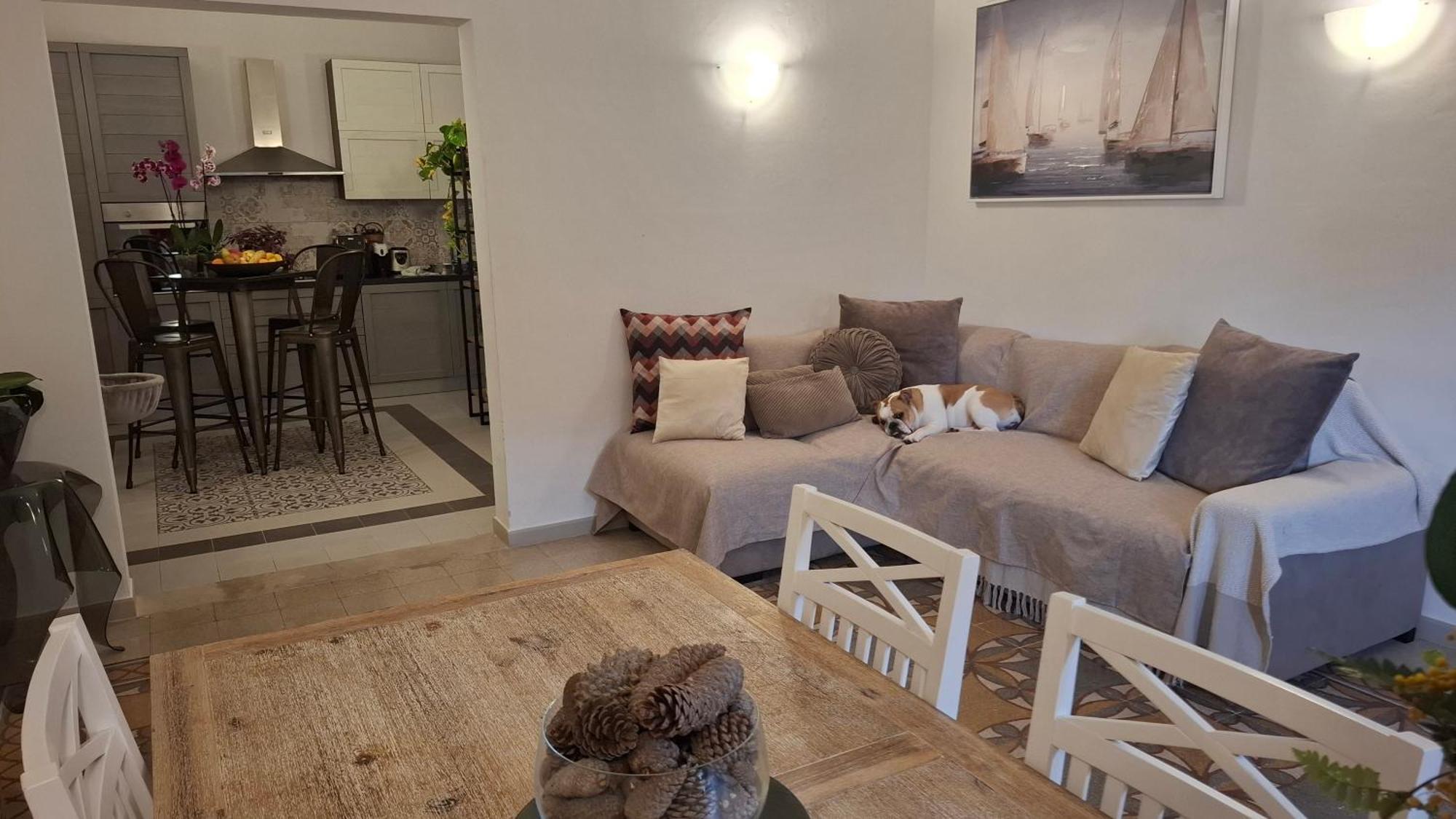 Casa Verdina, Nel Cuore Di アルゲーロ エクステリア 写真