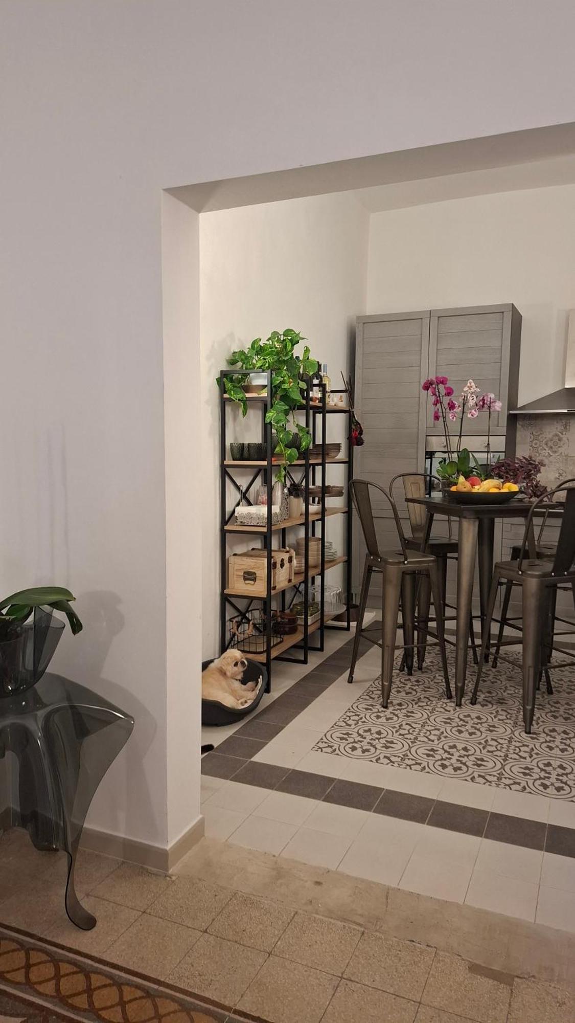 Casa Verdina, Nel Cuore Di アルゲーロ エクステリア 写真